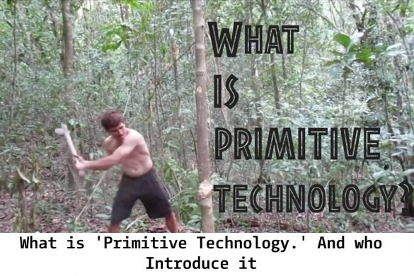 What is 'Primitive Technology.' And who Introduce it
