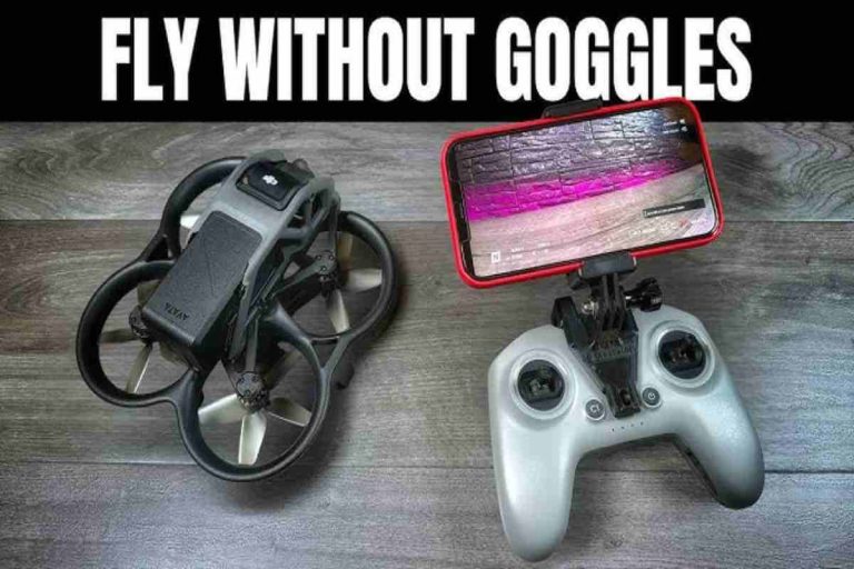 Can You Fly A FPV Drone Without Goggles?
